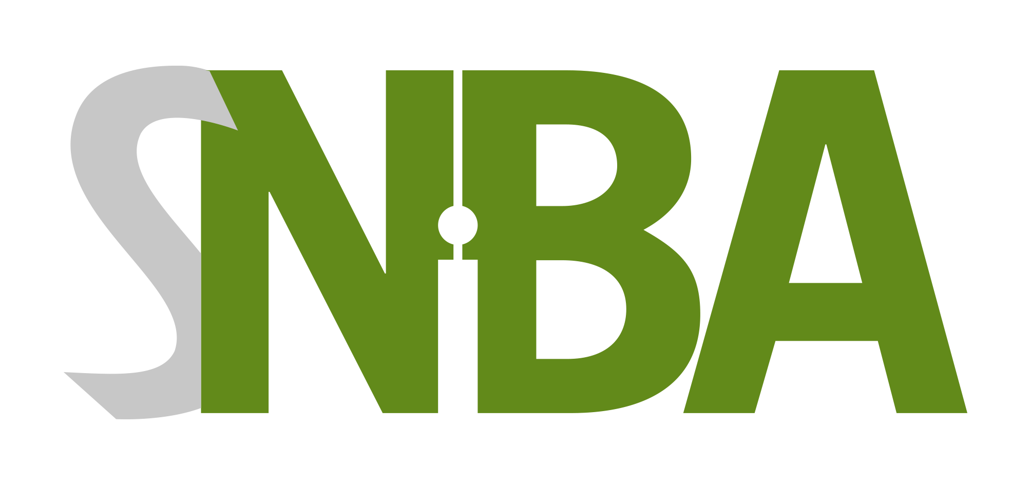 SNIBA_color_RGB